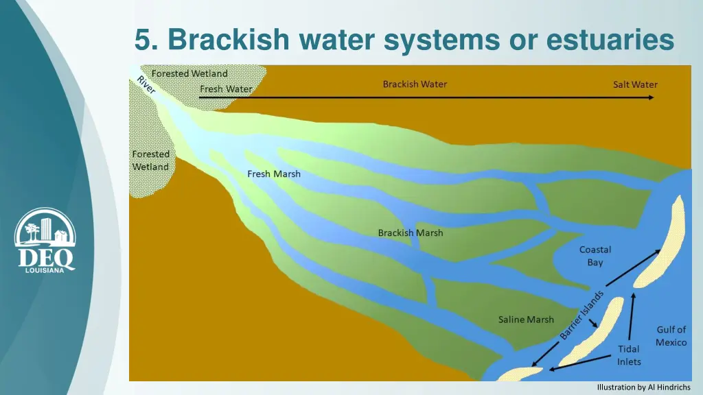 5 brackish water systems or estuaries