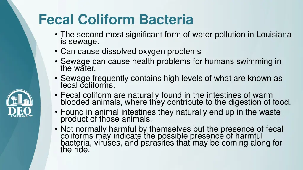 fecal coliform bacteria the second most