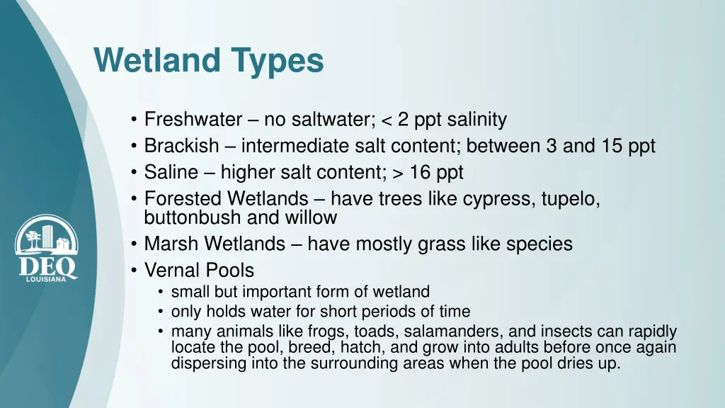 wetland types