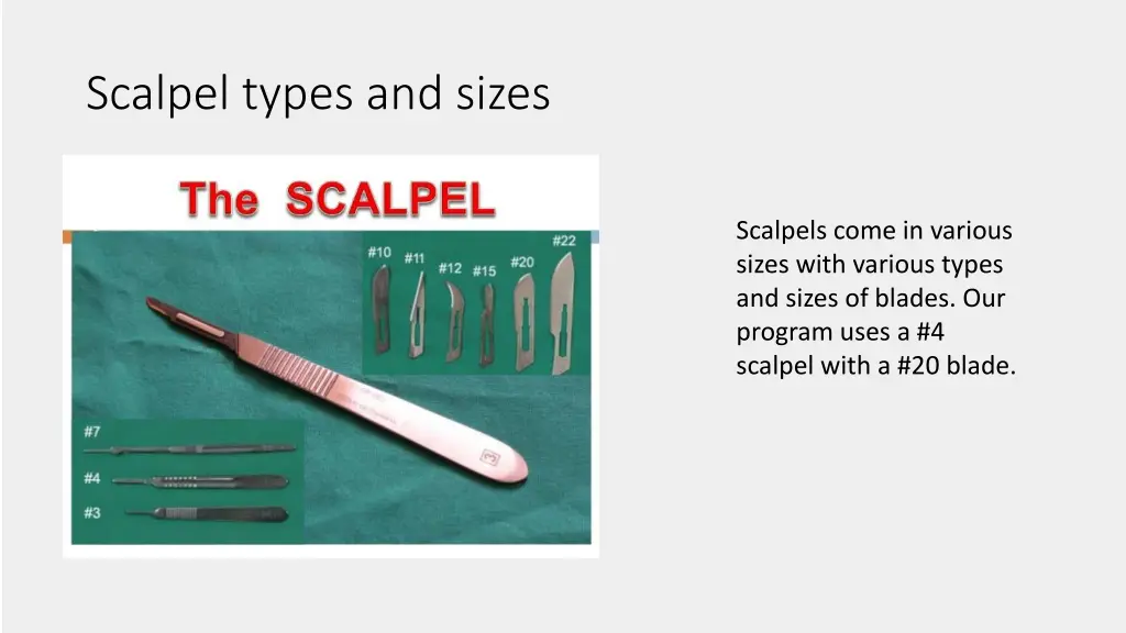 scalpel types and sizes