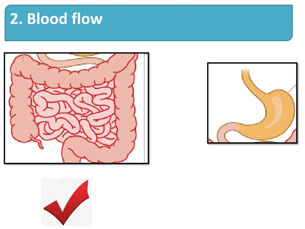 2 blood flow