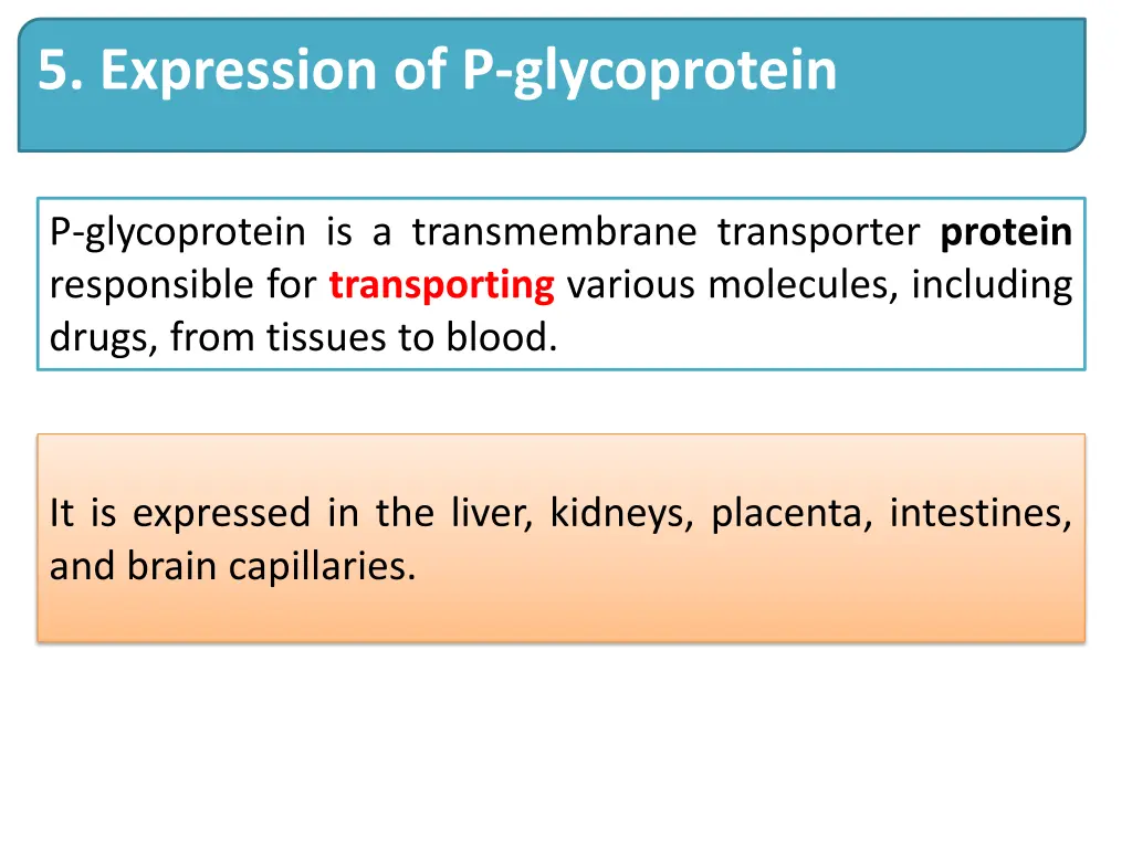 5 expression of p glycoprotein