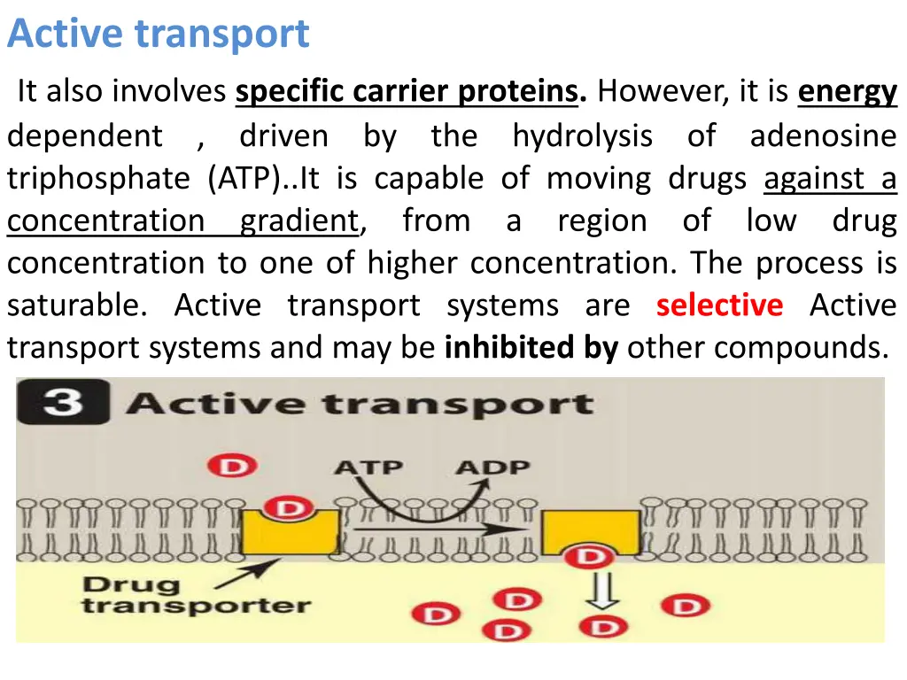 active transport it also involves specific