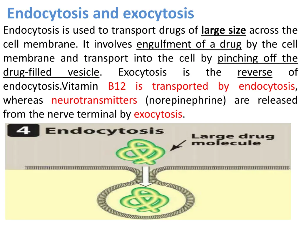 endocytosis and exocytosis endocytosis is used