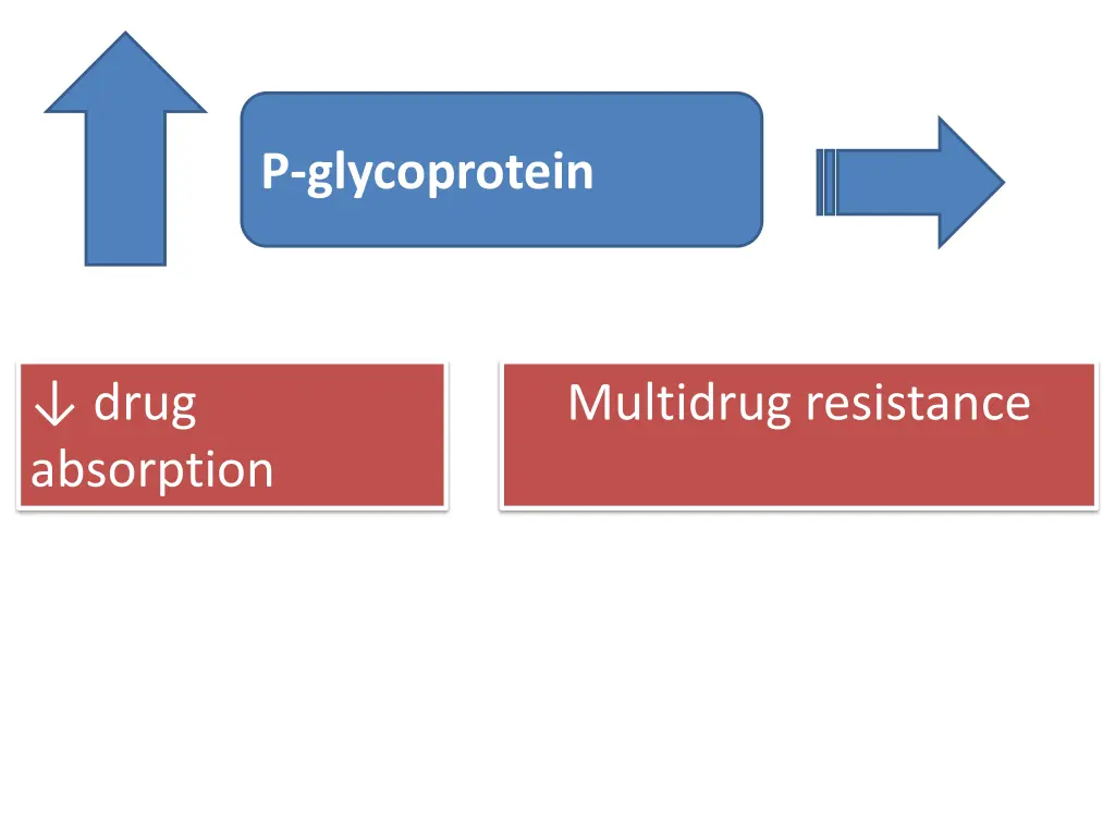 p glycoprotein