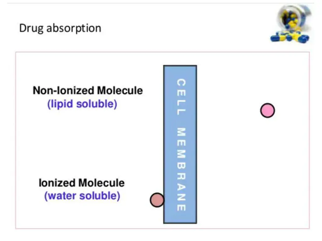 slide28