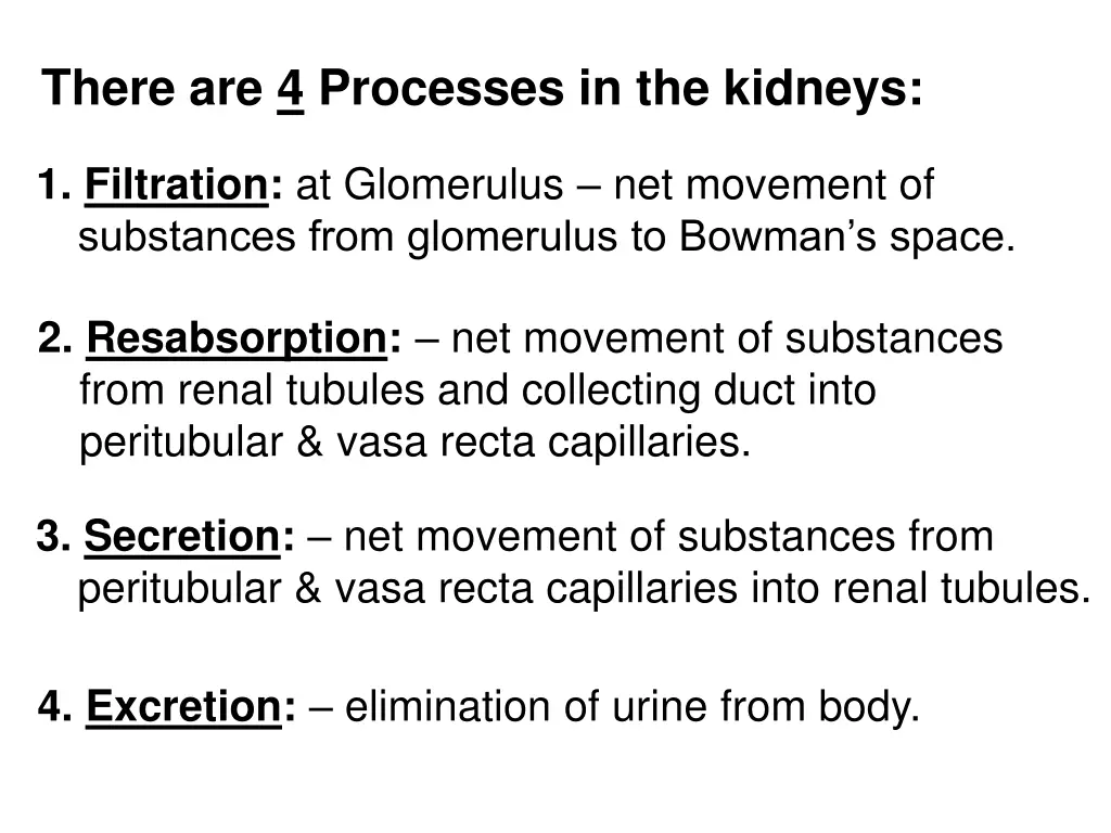 there are 4 processes in the kidneys