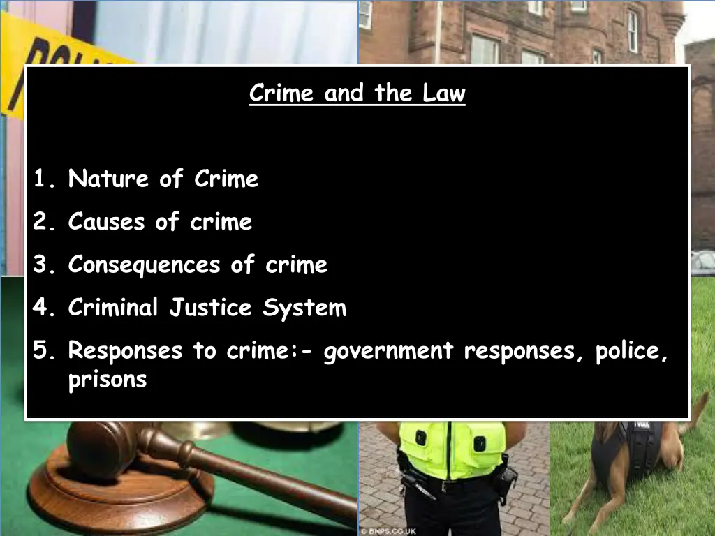 crime and the law 1