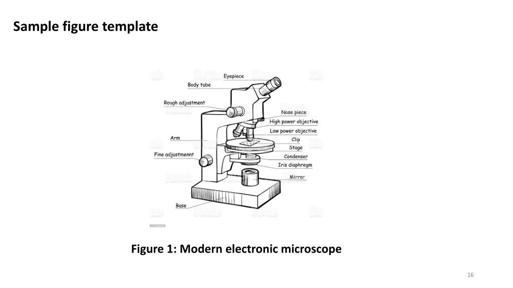 sample figure template