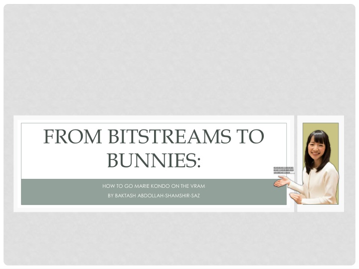 from bitstreams to bunnies