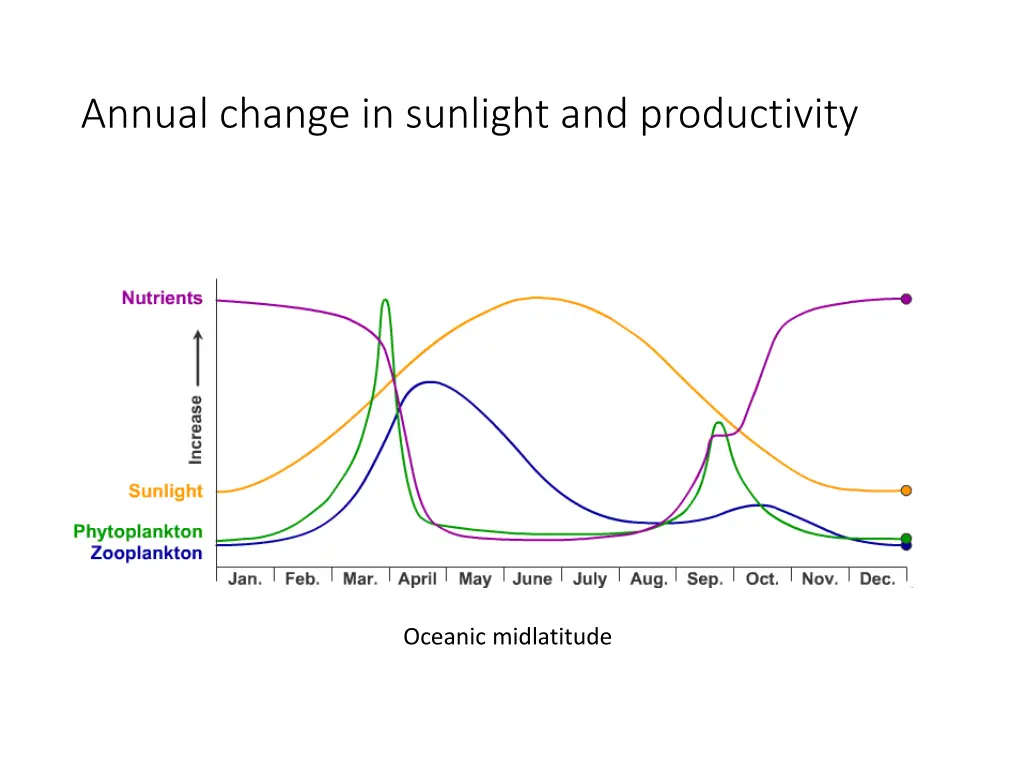 annual change in sunlight and productivity