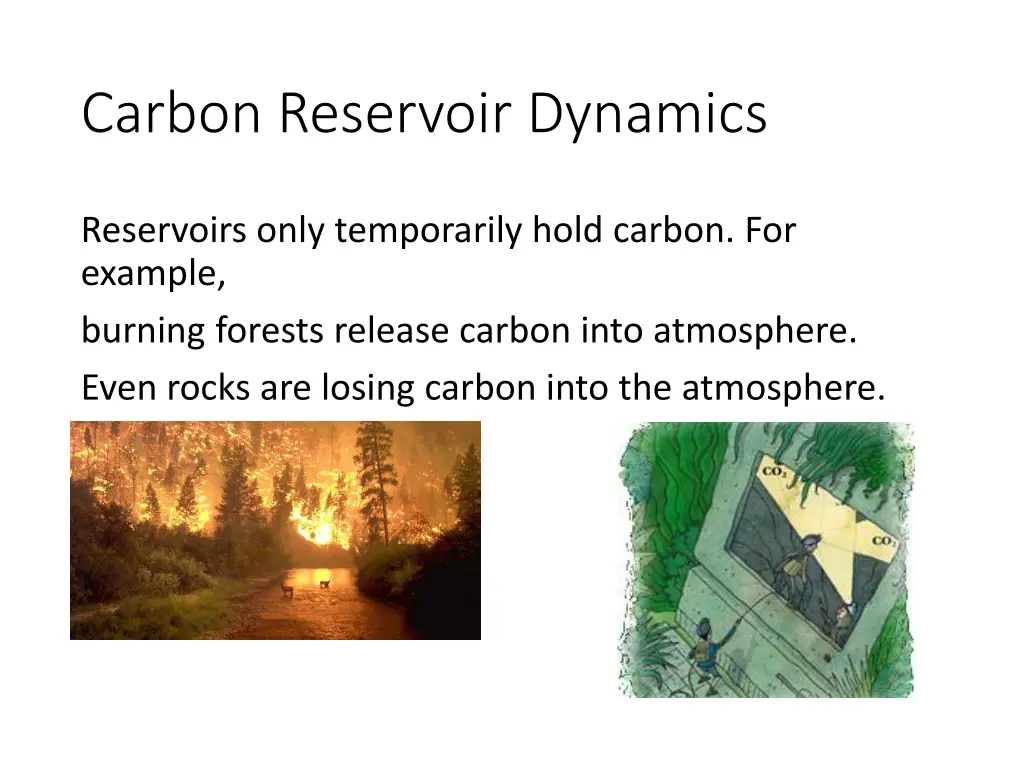 carbon reservoir dynamics 1