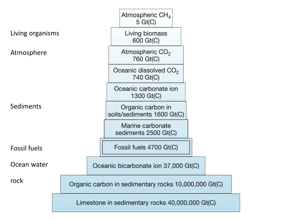 living organisms