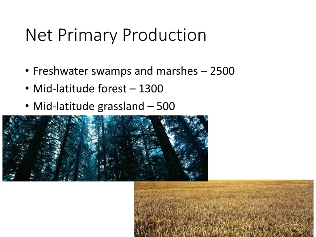 net primary production 1