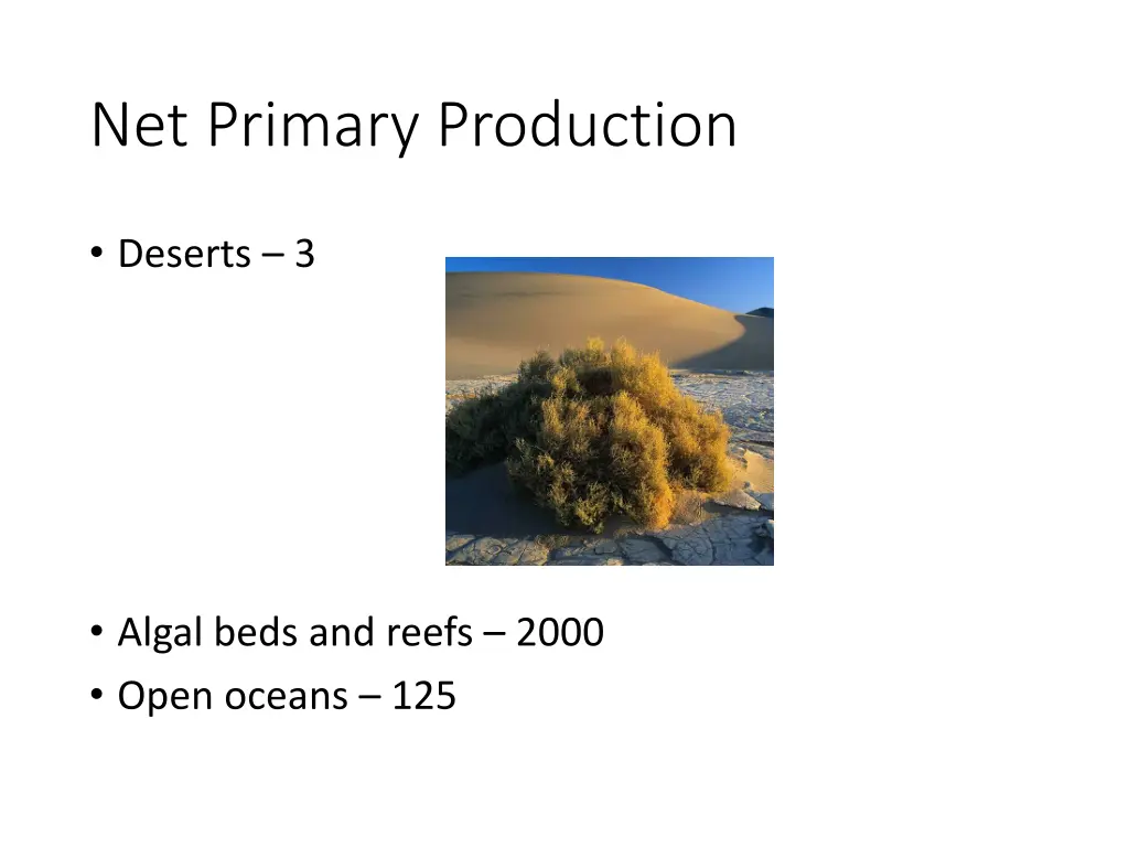 net primary production 2