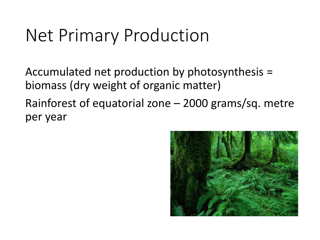 net primary production