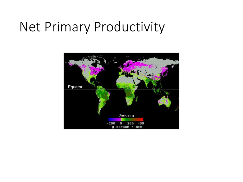 net primary productivity 1