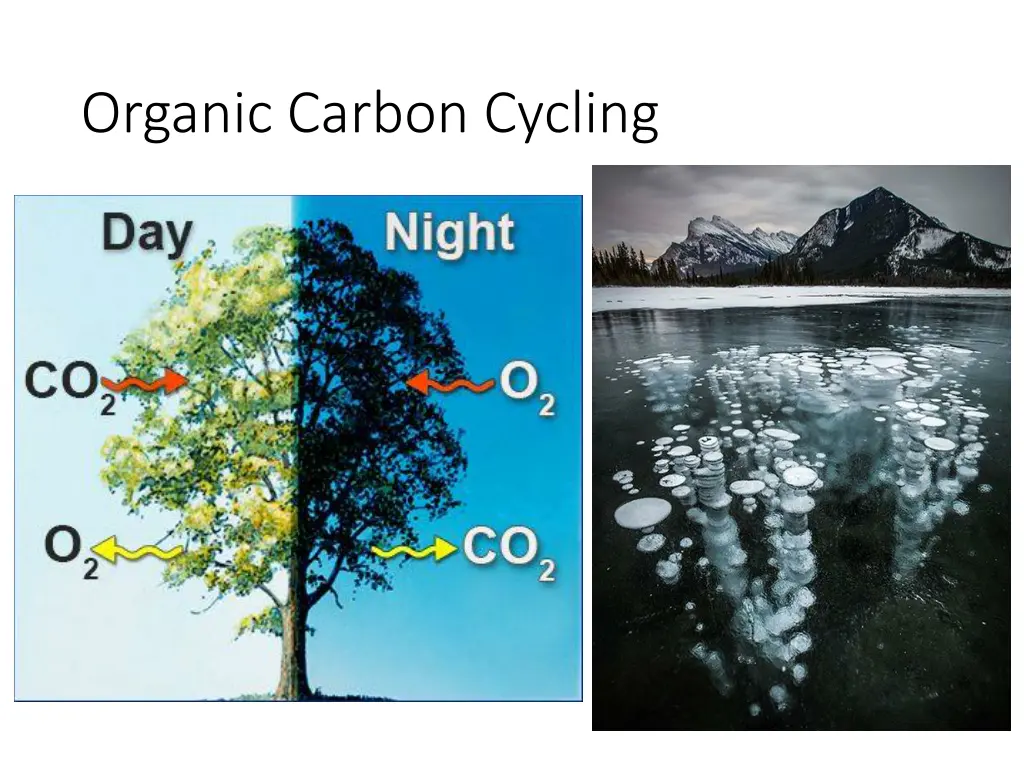 organic carbon cycling 3