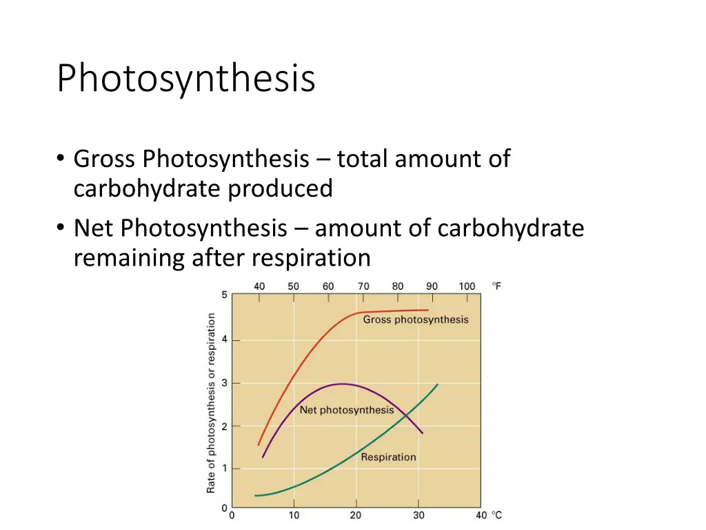 photosynthesis