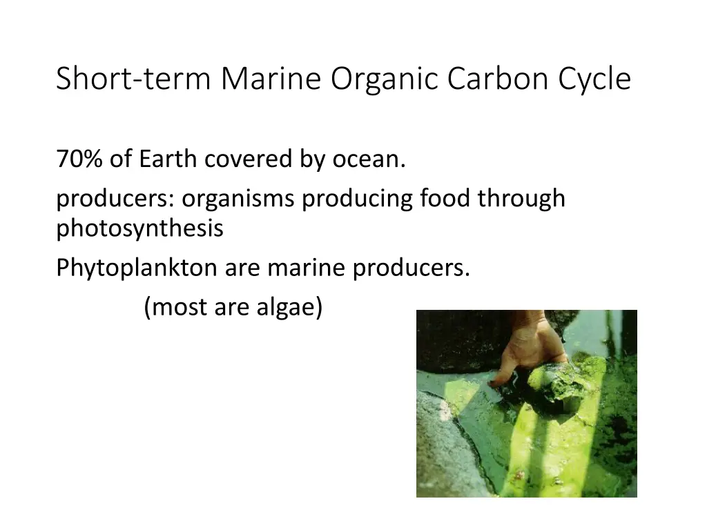 short term marine organic carbon cycle 1