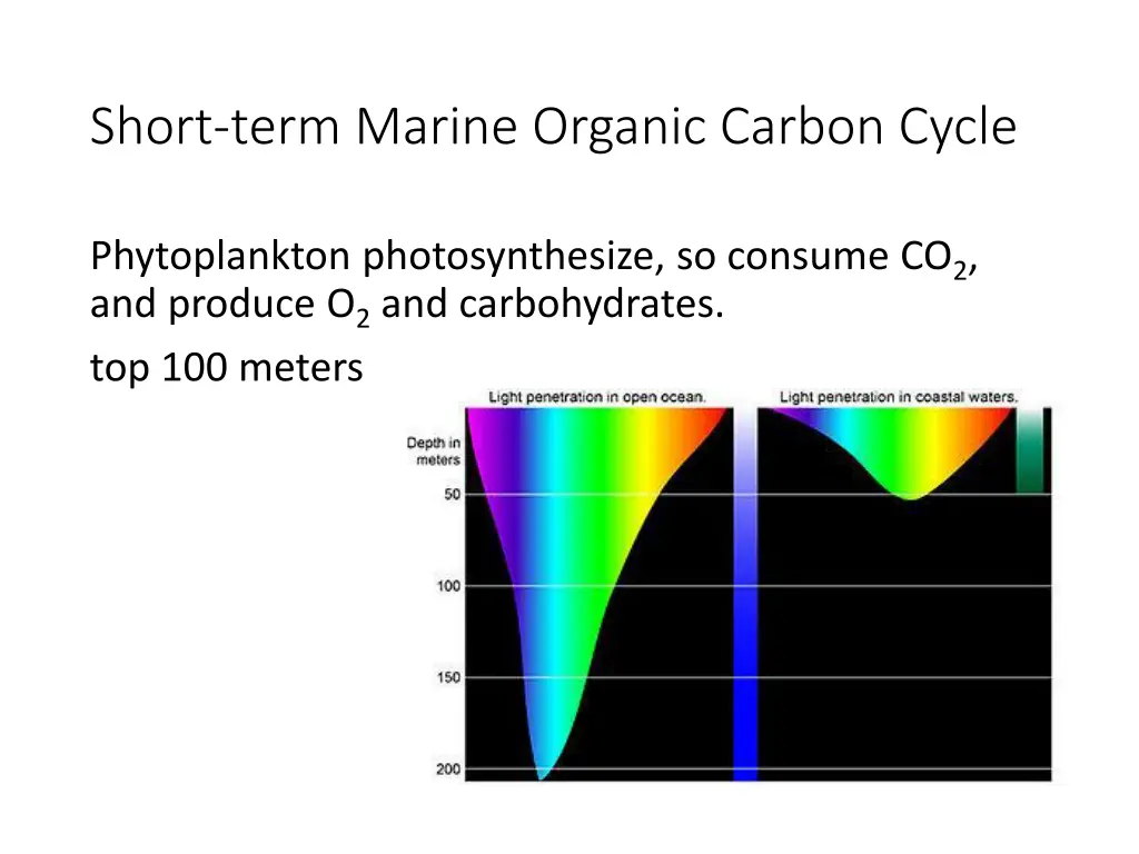 short term marine organic carbon cycle 2