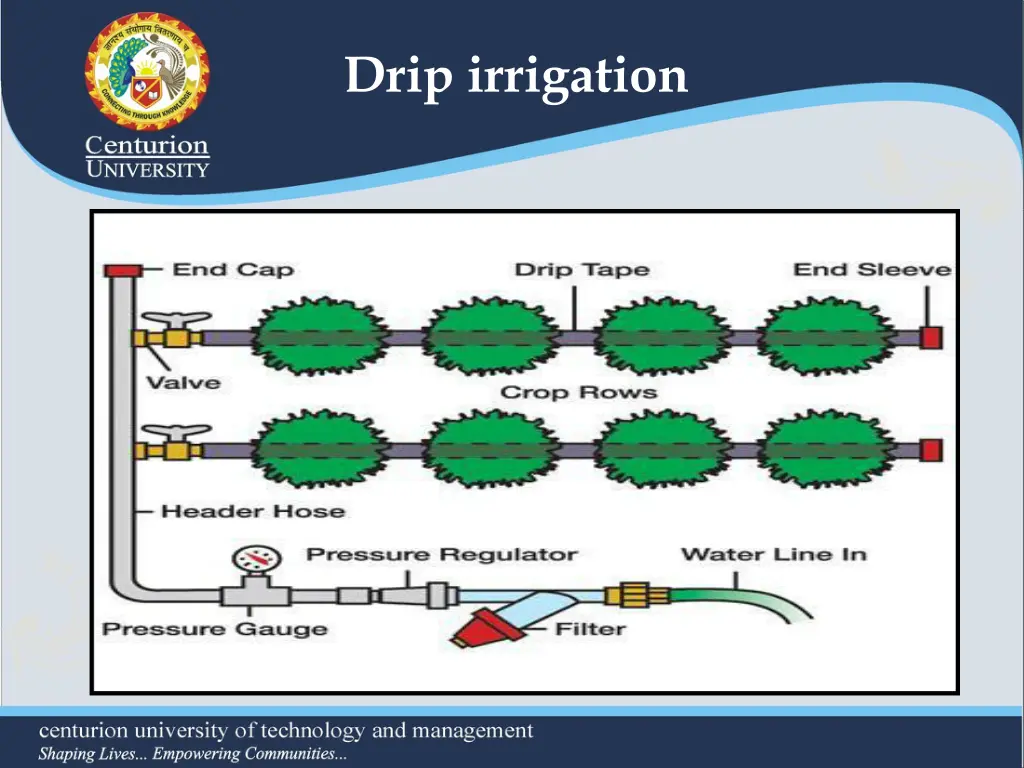 drip irrigation 1