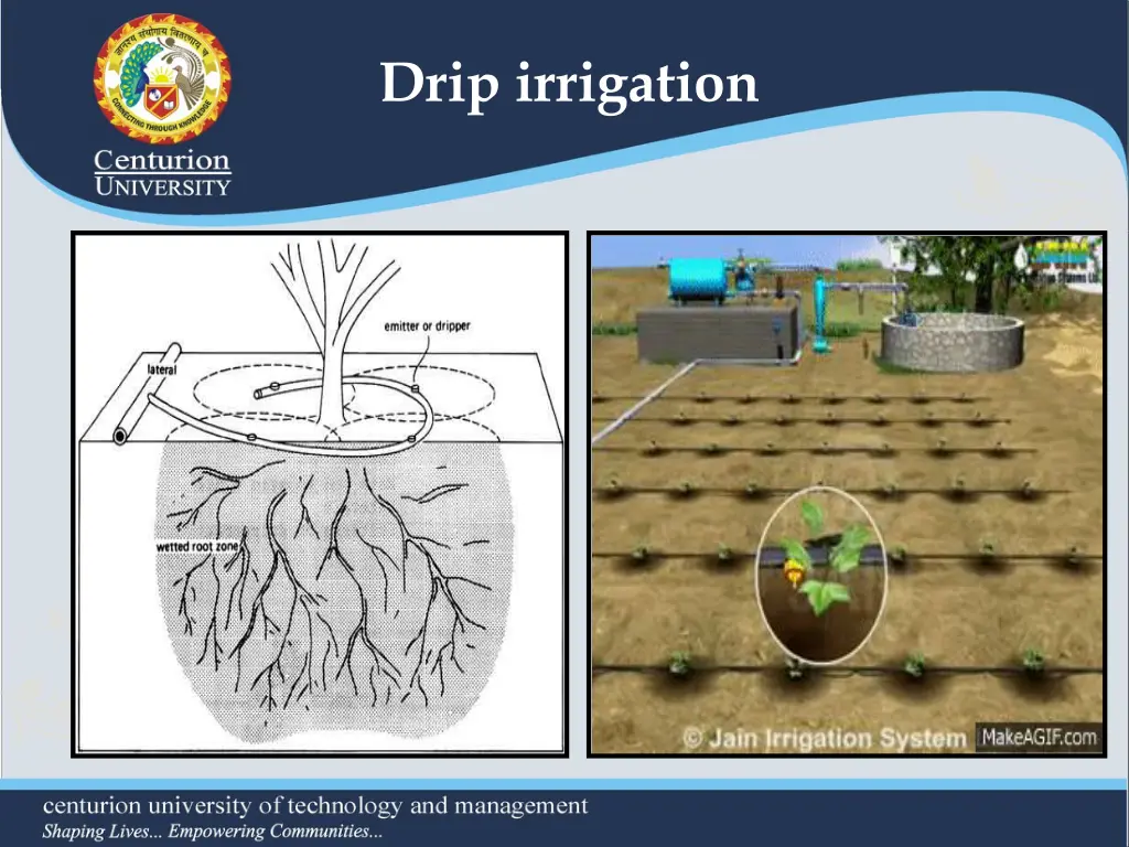 drip irrigation 2