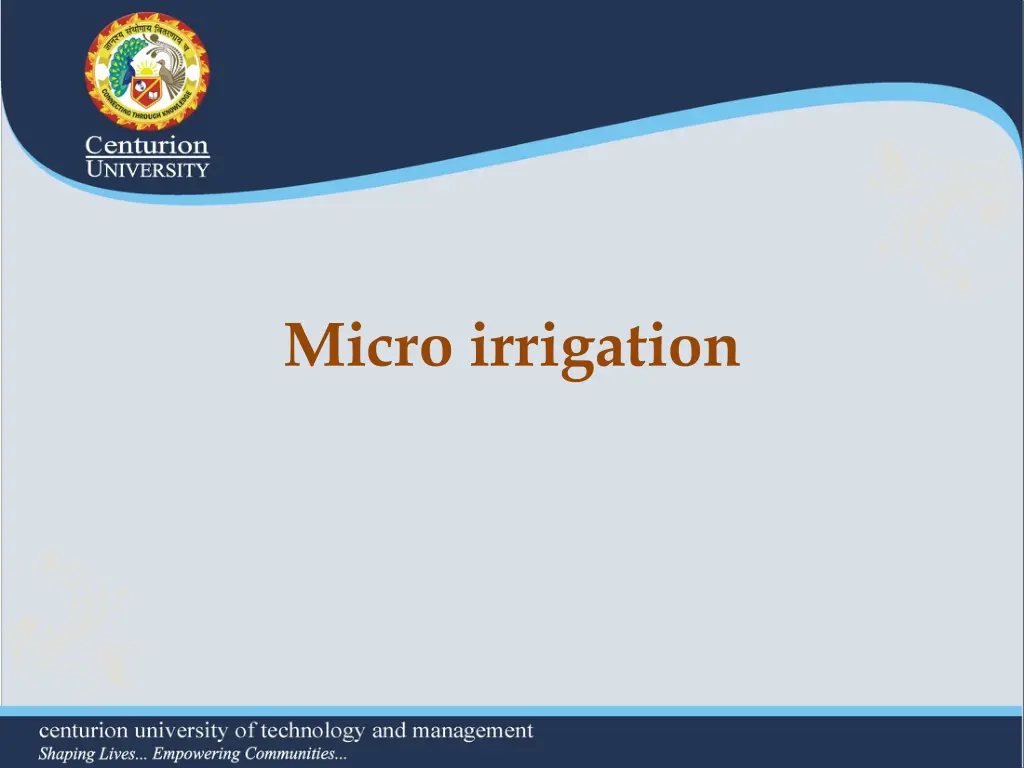 micro irrigation