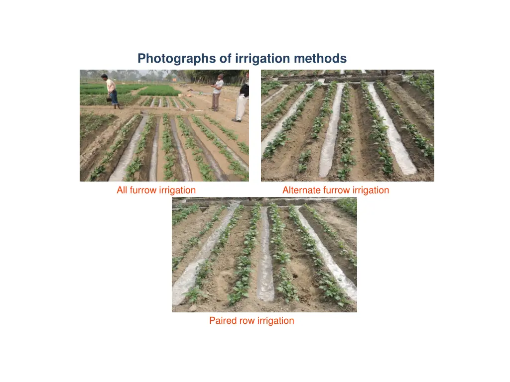 photographs of irrigation methods