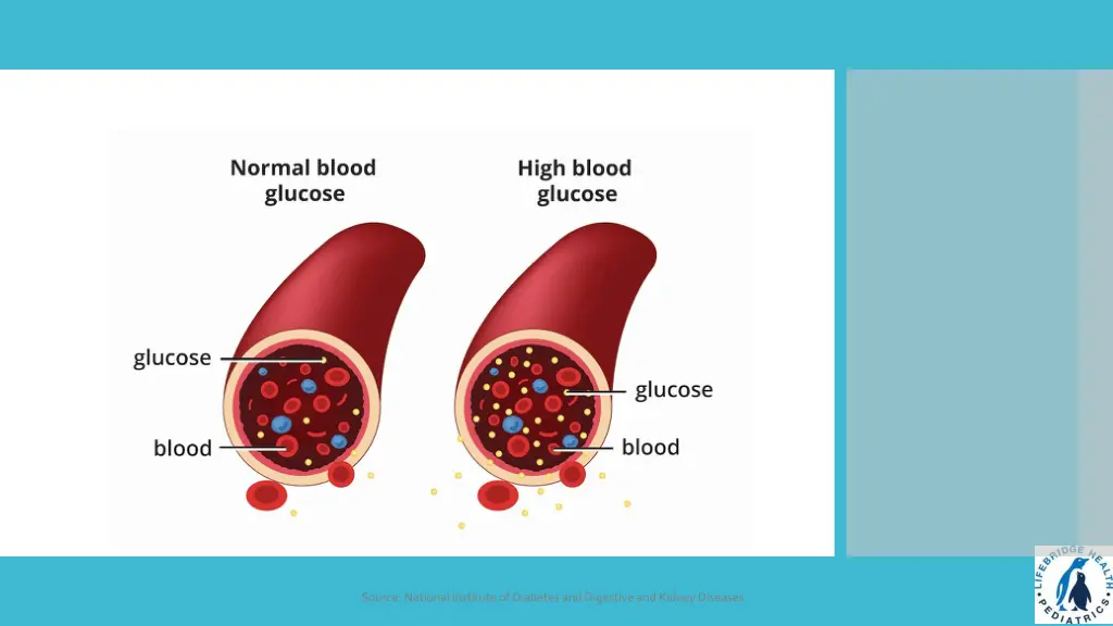 source national institute of diabetes