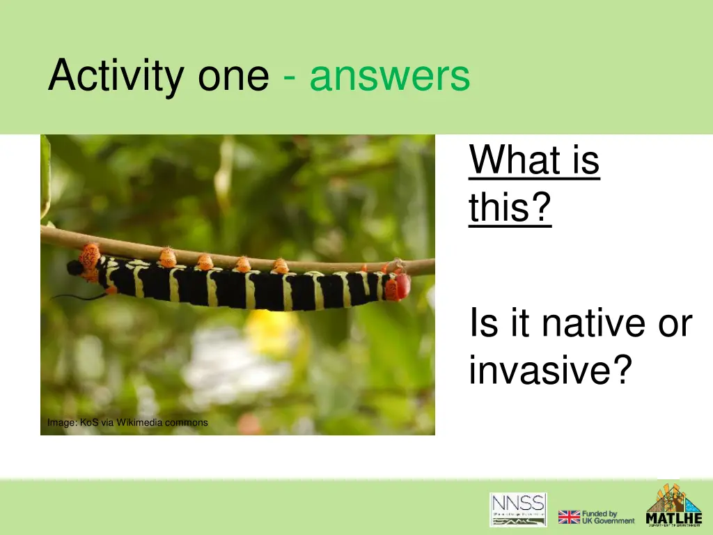 activity one answers 12