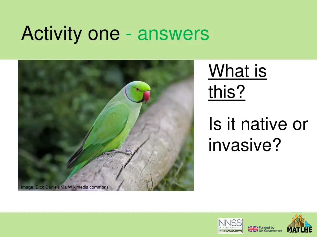 activity one answers 21