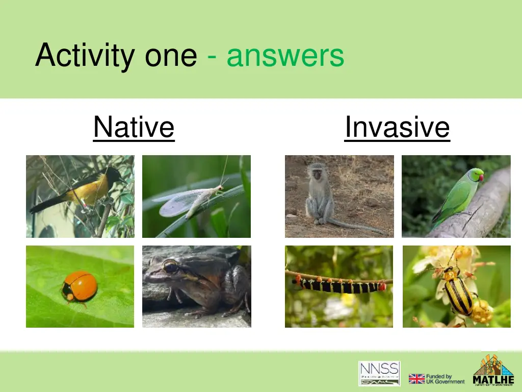 activity one answers 24