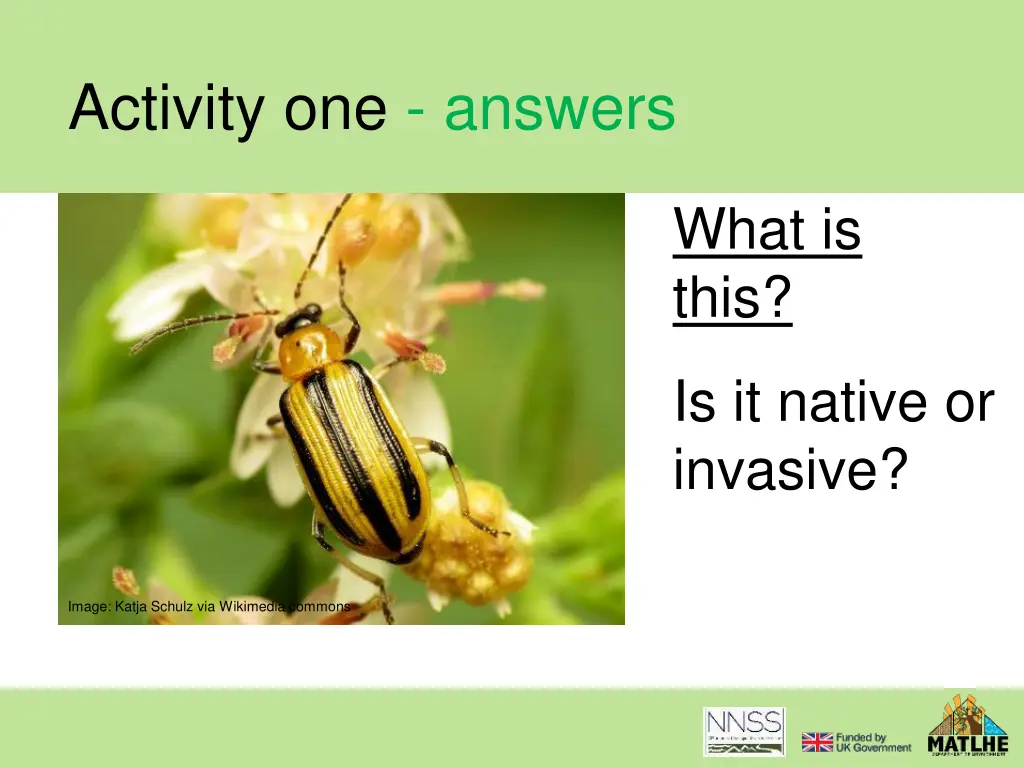 activity one answers 3