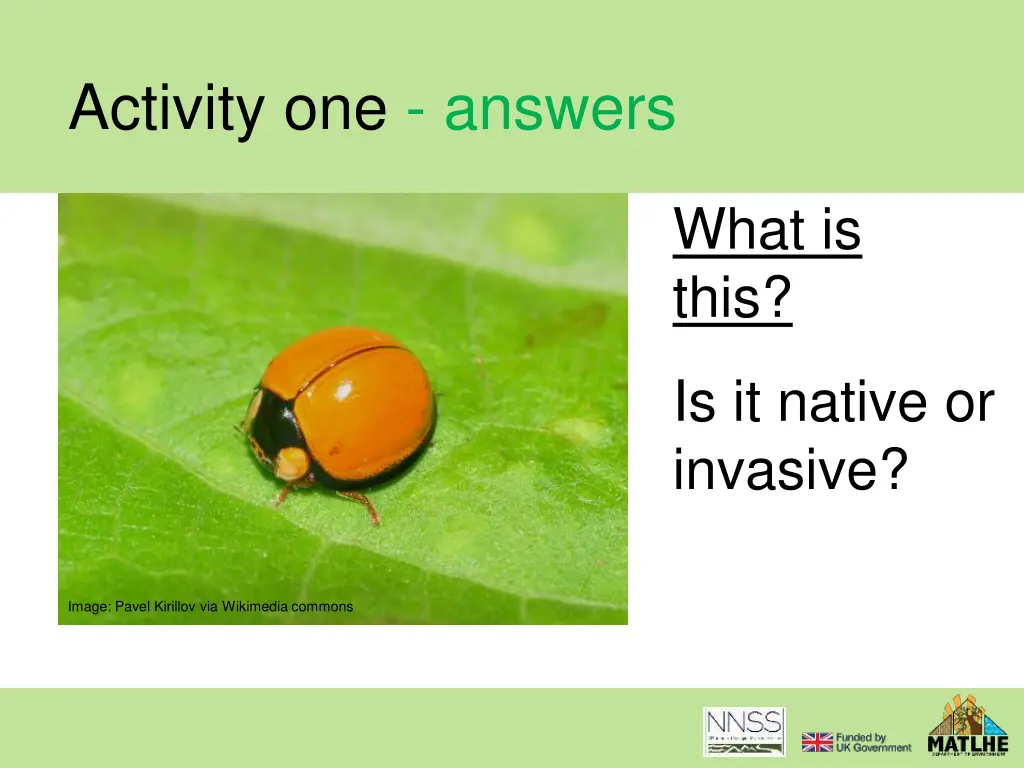 activity one answers 9