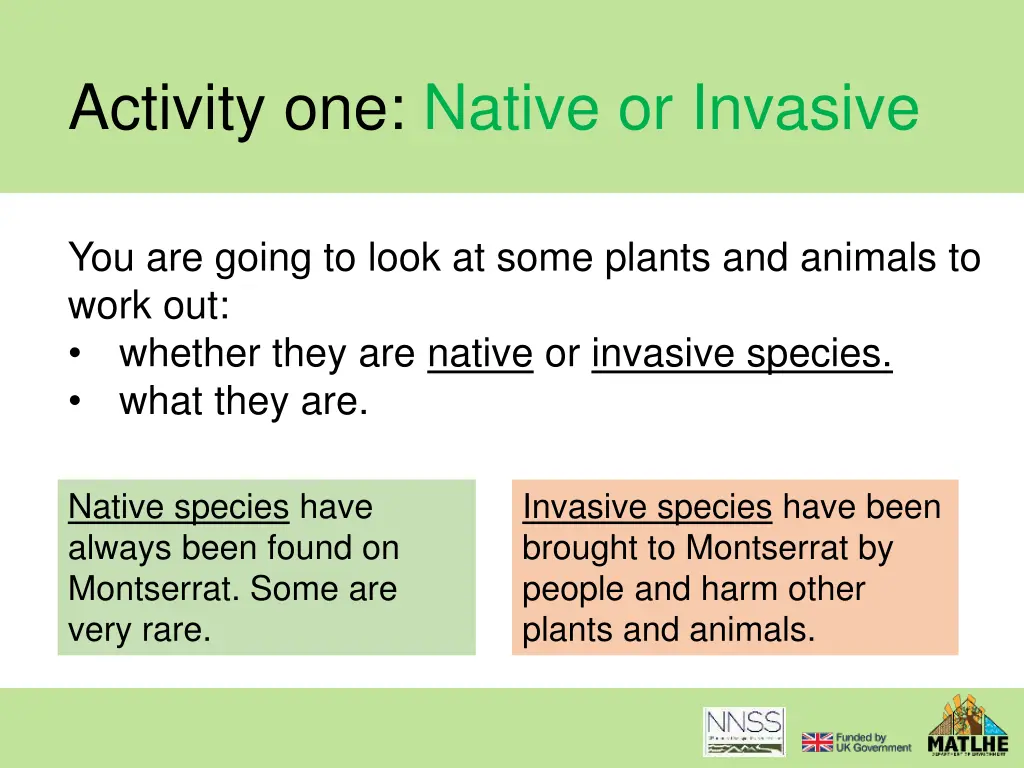 activity one native or invasive