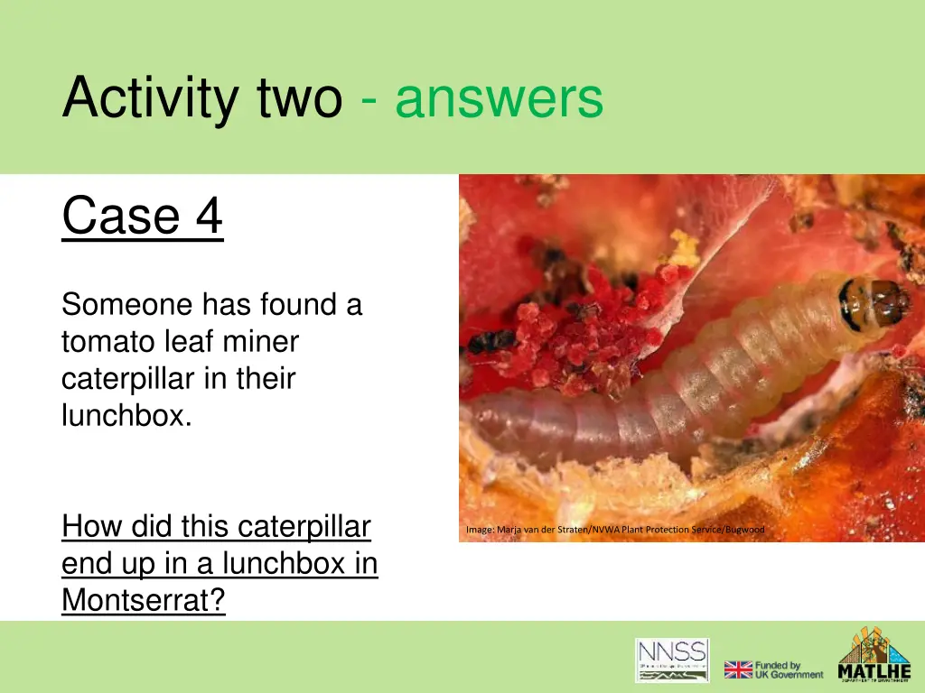 activity two answers 10