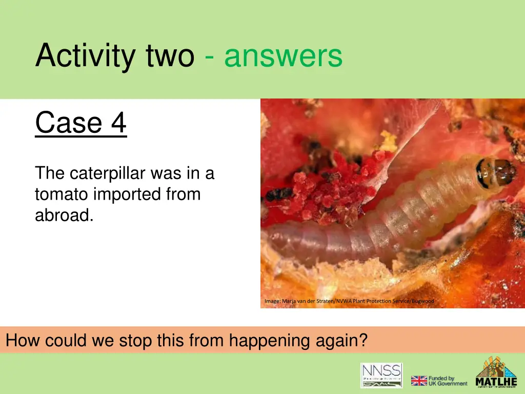 activity two answers 11