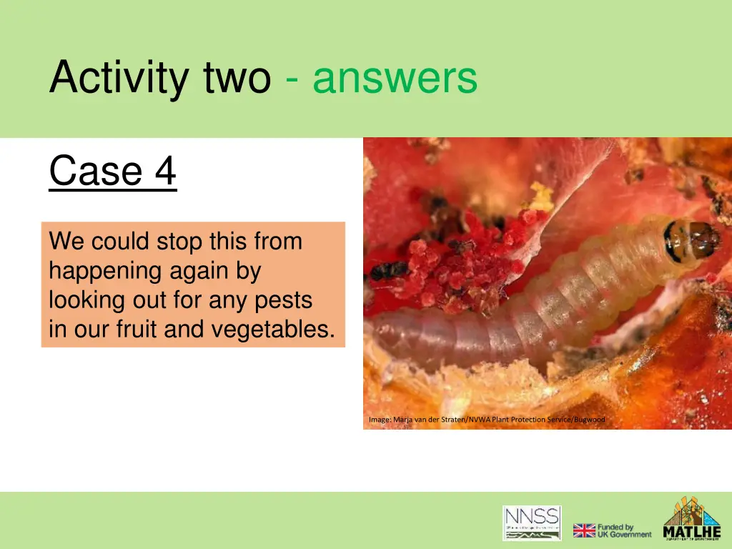 activity two answers 12