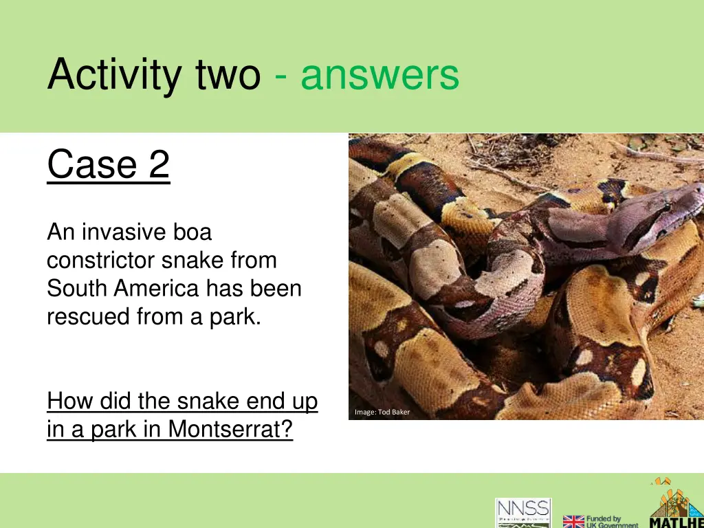 activity two answers 4