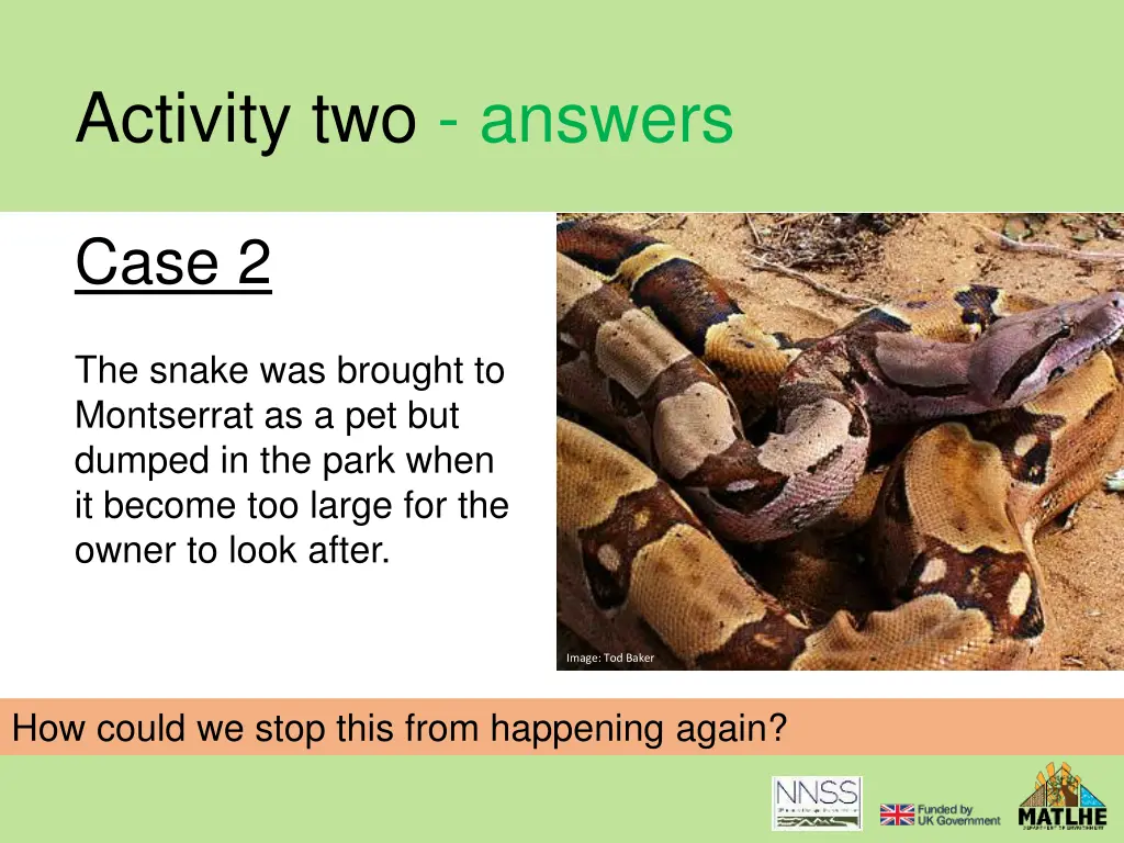 activity two answers 5