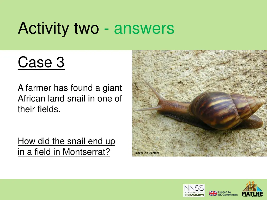 activity two answers 7