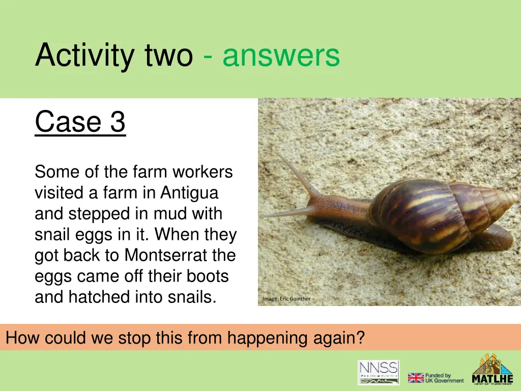 activity two answers 8