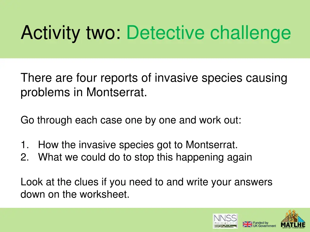 activity two detective challenge