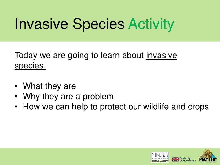 invasive species activity