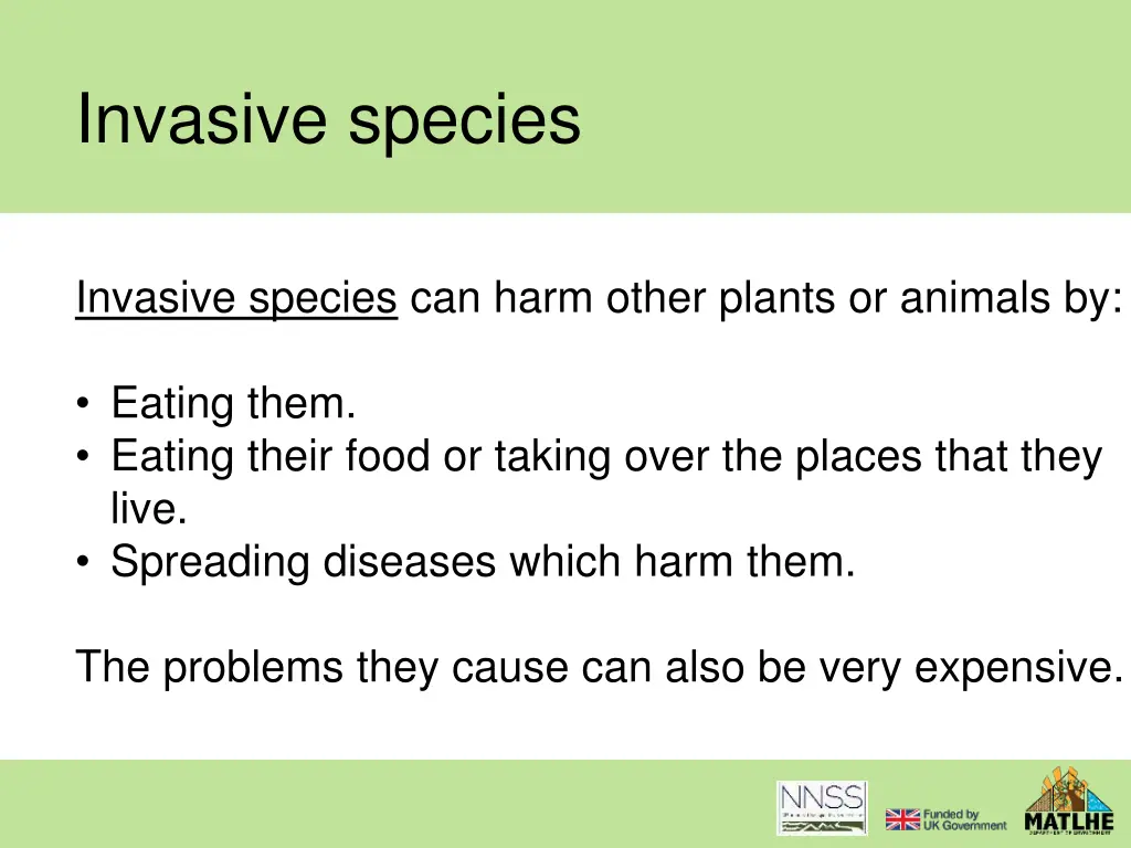 invasive species