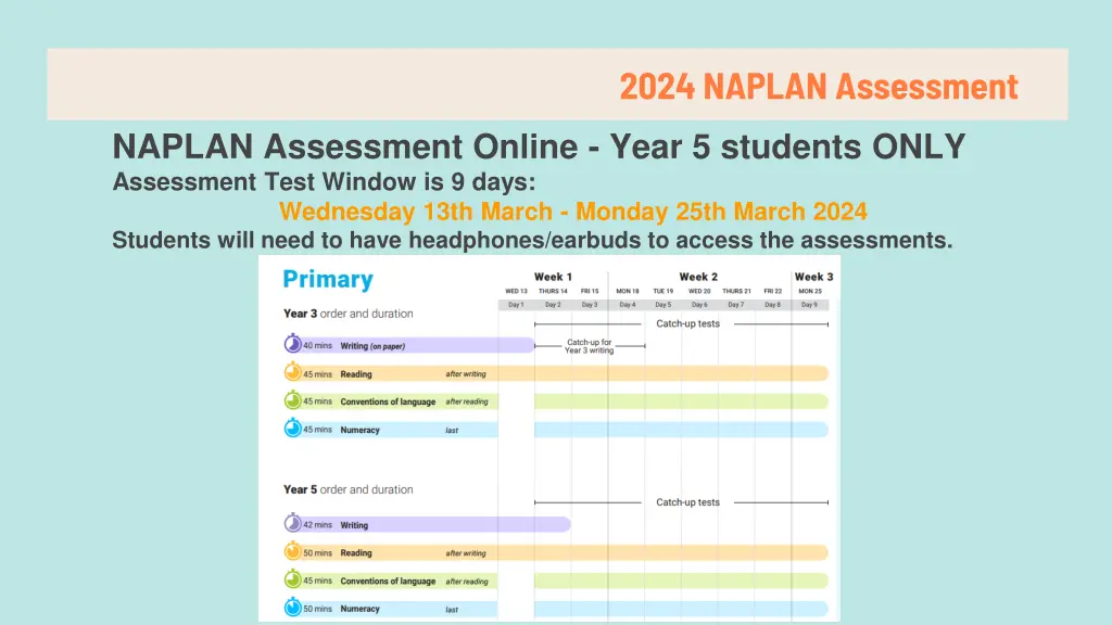 2024 naplan assessment