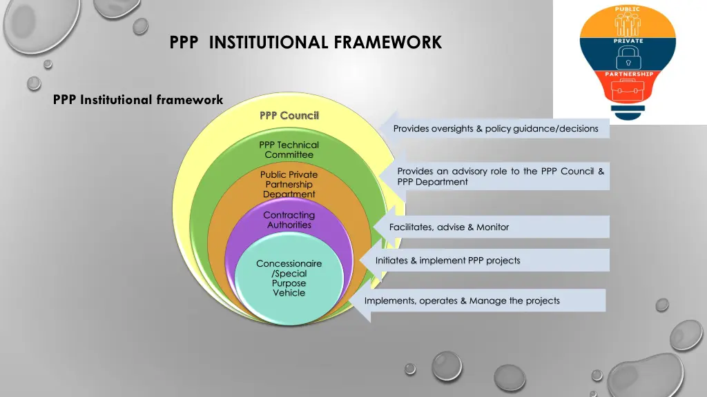 ppp institutional framework