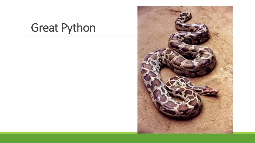 great great p python