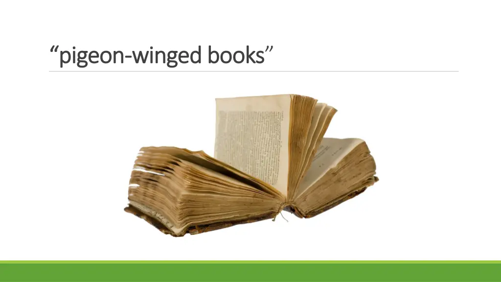 pigeon pigeon winged books winged books